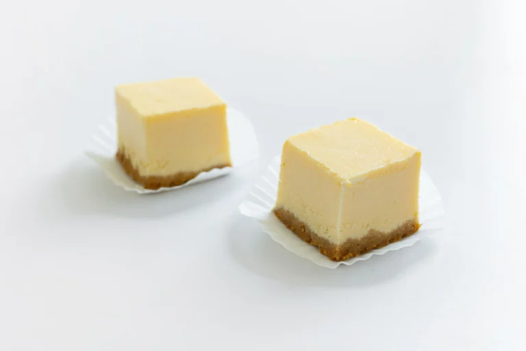 cocktail size plain cheesecake (2) (2)_result